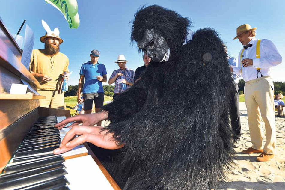 Im Sandloch spielt ein Gorilla am Klavier. Unter dem Kostüm schwitzt Künstler 
Max Rademann.