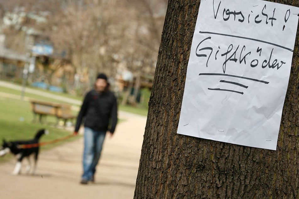 Zweimal fanden Hunde präparierte Wurstscheiben im Kurpark in Bad Meinberg. (Symbolbild)