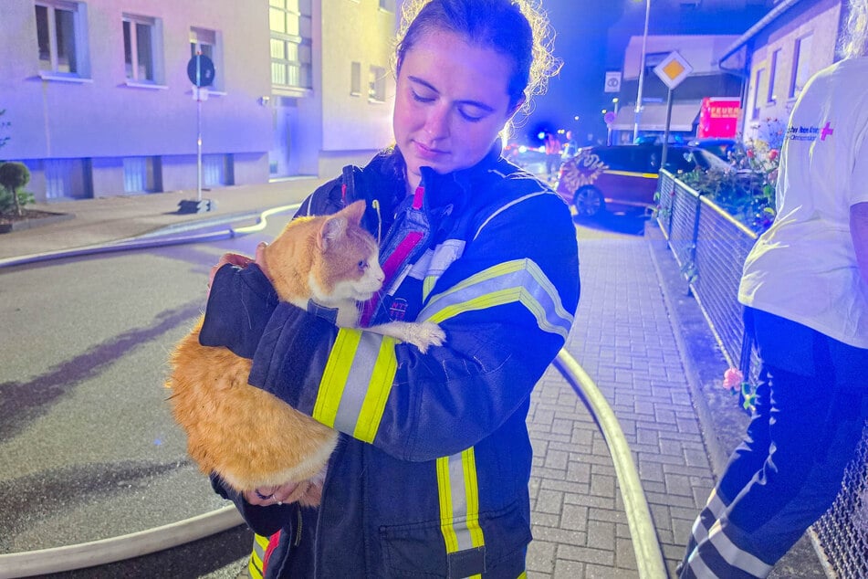 Eine Katze konnte es aus den Flammen gerettet werden.