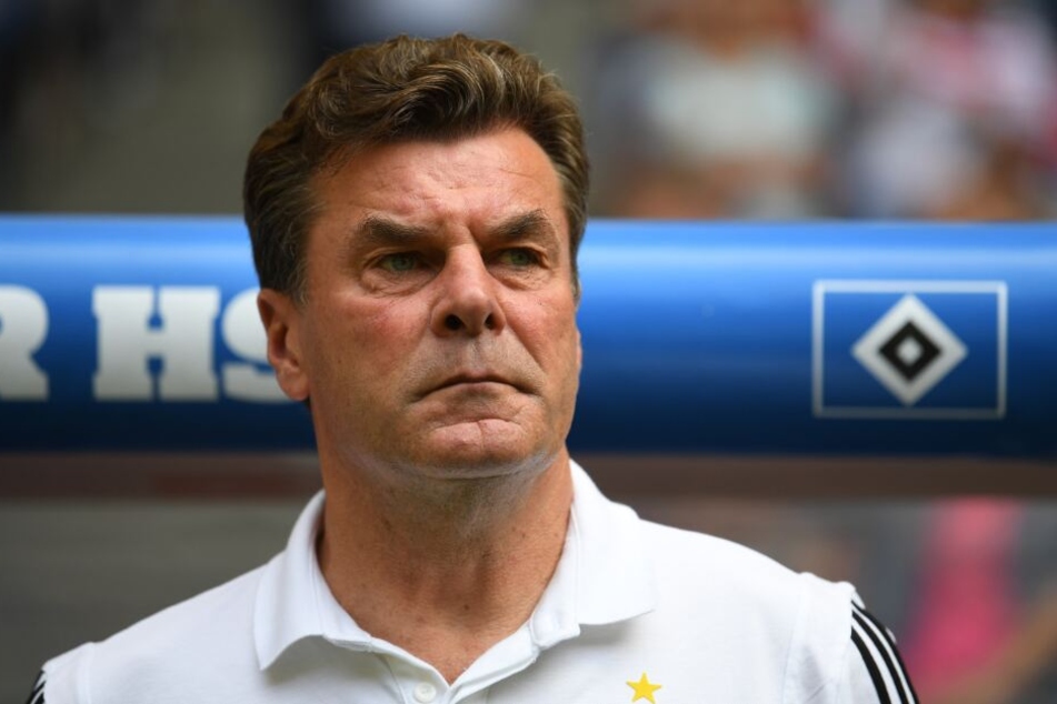 Dieter Hecking will den HSV zurück in die Bundesliga führen.