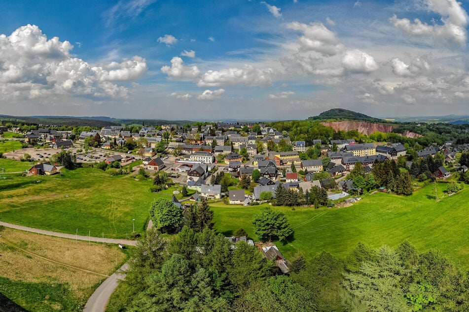 Die Gemeinde Altenberg wird wohl von einem deutsch-tschechischen Wolfsrudel heimgesucht.