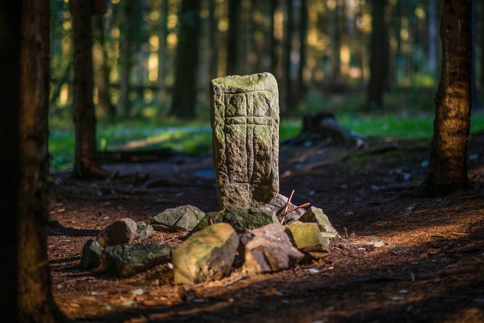Das angebliche Grab liegt mitten im Wald.