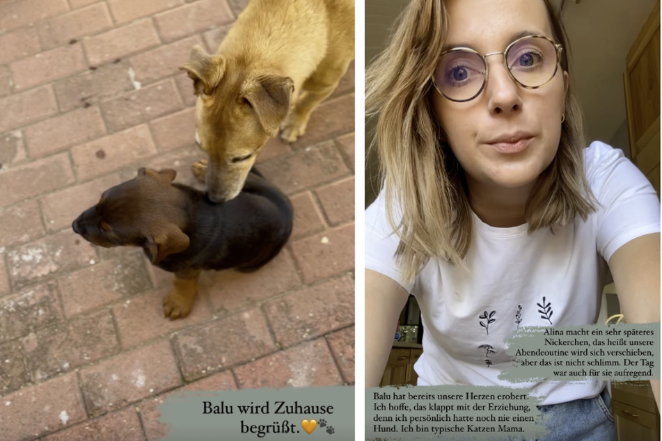 Anna Heiser (32) berichtet auf Instagram über den Alltag mit ihren Kindern und Fellnase Balu.