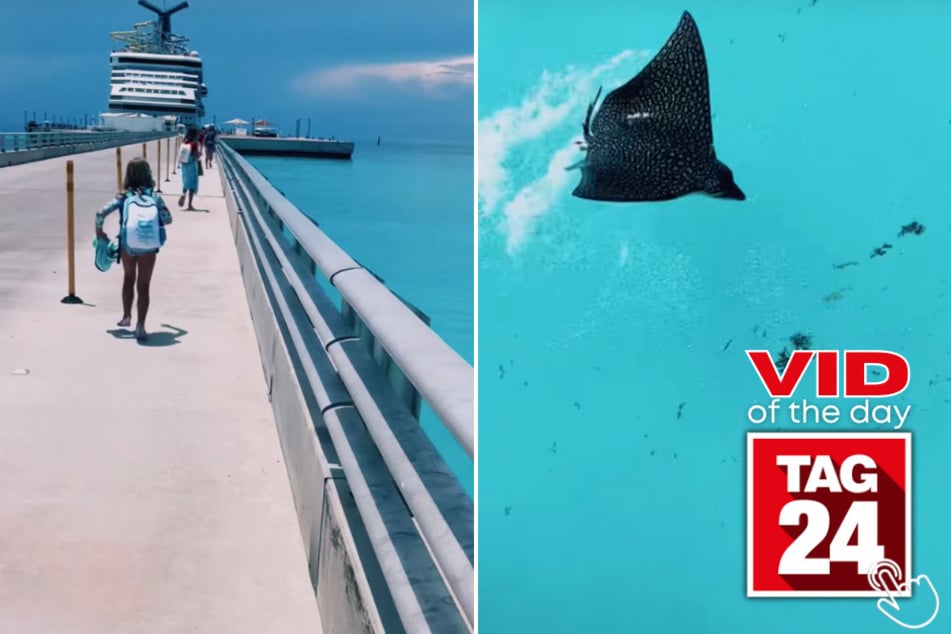 Today's Viral Video of the Day features a mom and daughter who spotted an incredible sea creature while running back to their cruise ship!