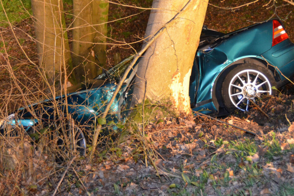 Das Auto kam an einem Baum zum Stehen.