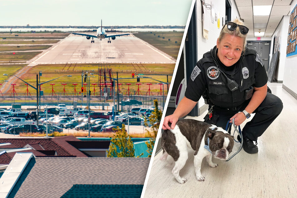Frau gibt Hund am Flughafen erst als Therapietier aus, dann lässt sie ihn einfach zurück