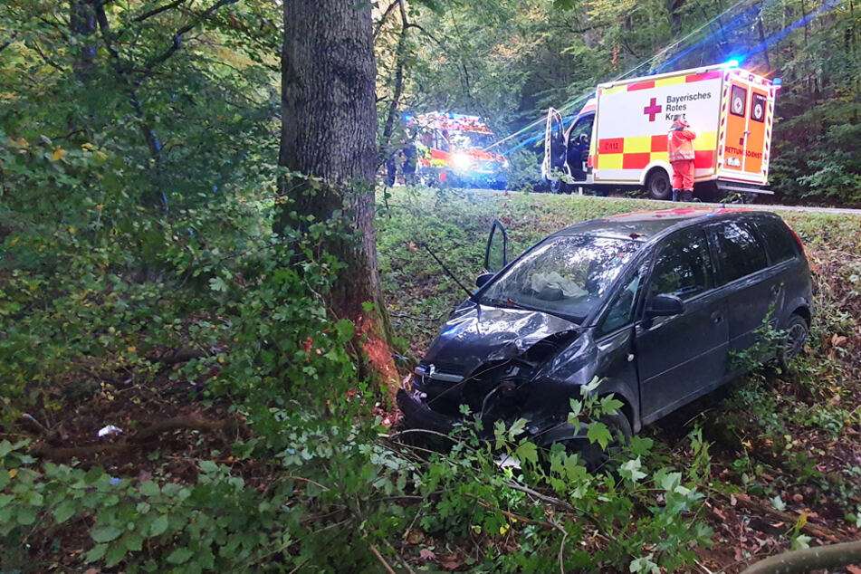 Die Fahrt endete an deinem Baum. Der Fahrer wurde dabei schwer verletzt.