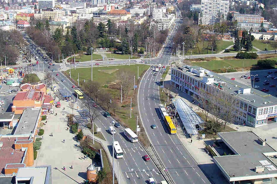 In Zlin/Tschechien wurde der Blütenkönig geschnappt.