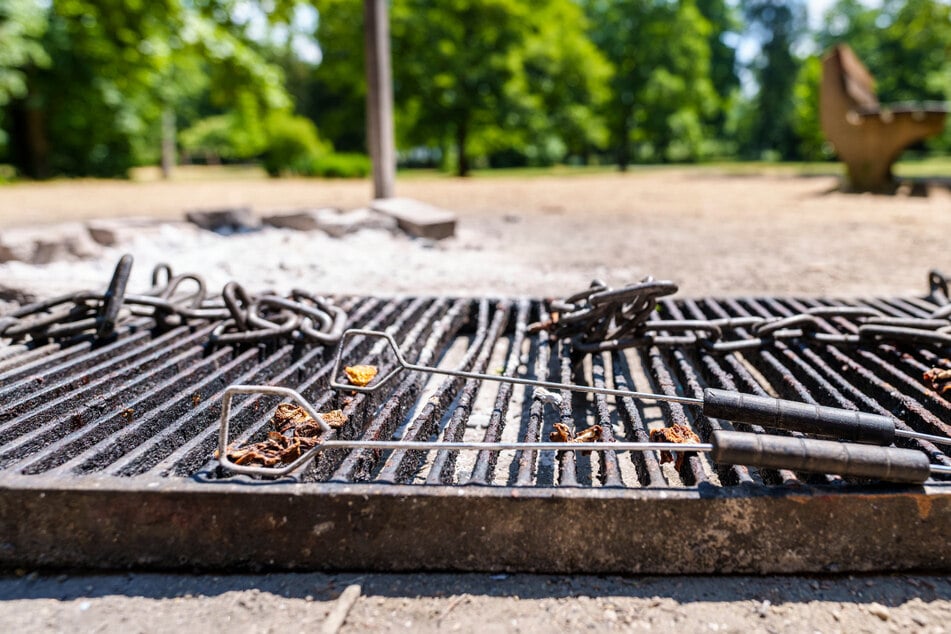 Grillplätze in Magdeburg werden freigegeben: Das gilt es, bei der Nutzung zu beachten