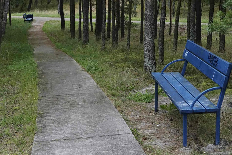 Ein schöner Park, doch definitiv nicht der Maxim-Gorki-Park.