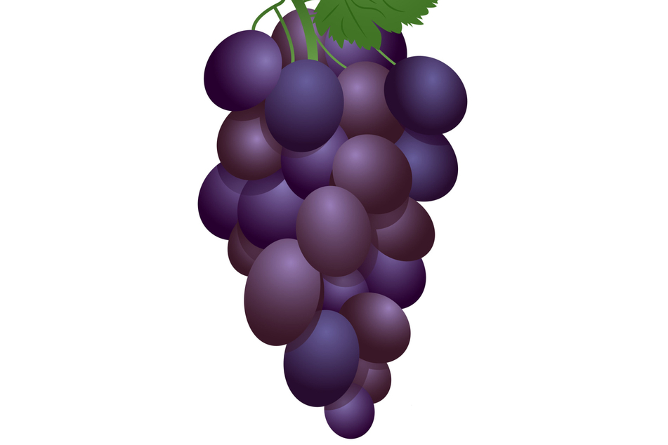 Weintrauben entschlacken den Körper. (Symbolbild)