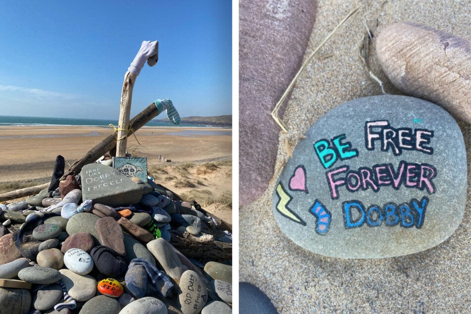 Zahlreiche Fans besuchen jedes Jahr das Grab des Hauselfen in Wales.