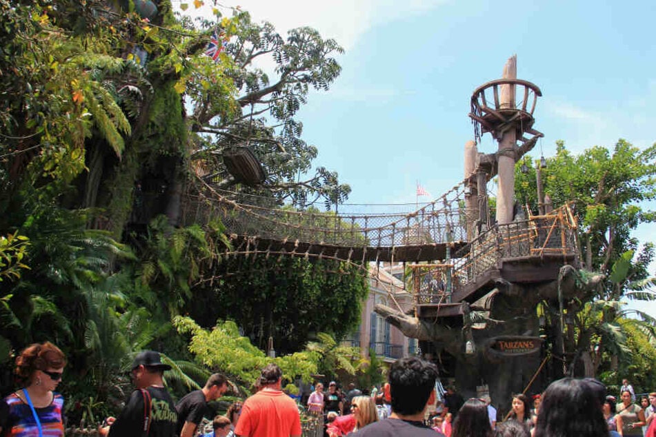 Die Disneyland-Attraktion "Tarzans Baumhaus" ist nun gesperrt. Sie gibt es nur von unten zu sehen.