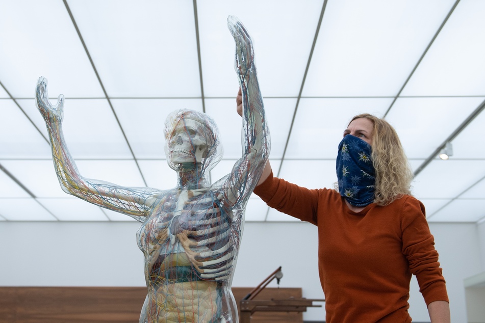 Eine Mitarbeiterin des Deutschen Hygiene-Museum steht während Reinigungsarbeiten mit einem Mundschutz in der Dauerausstellung an dem anatomischen Menschenmodell "Gläserne Frau".