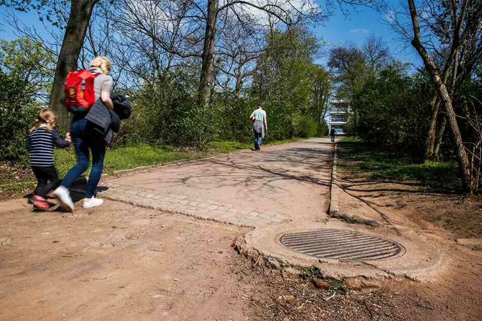 Im Alaunpark sollen Wege saniert werden. Das Geld dafür macht der Stadtbezirksbeirat locker.