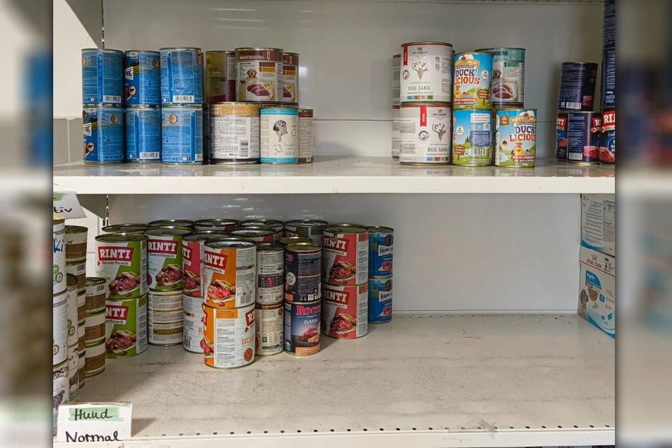 Viel ist leider nicht mehr vorhanden: Das Tierheim Delitzsch bittet aktuell dringend um Nassfutter-Spenden für seine Hunde.