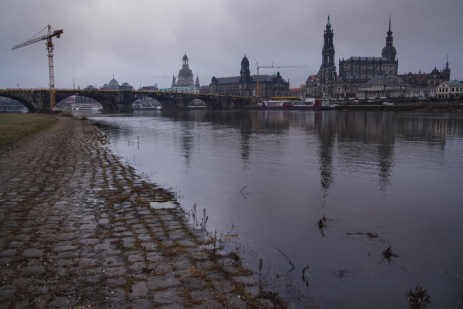 "Wir brauchten diesen Regen": So sah das Flussbett der Elbe am vergangenen Freitag in der Dresdner Innenstadt aus.