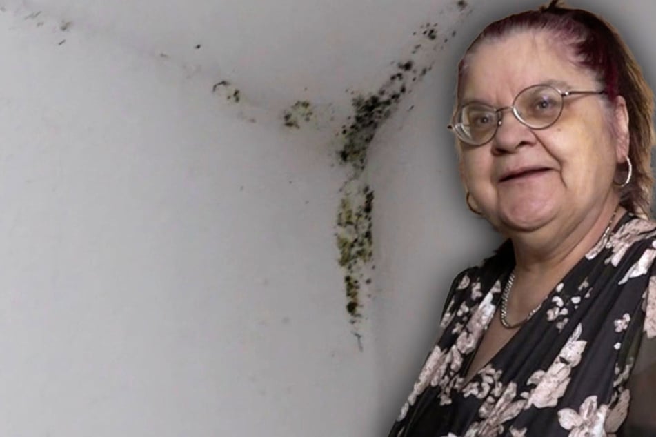 Asthmatikerin Brigitte lebt in Schimmel-Bude: "Würde ungern ausziehen"