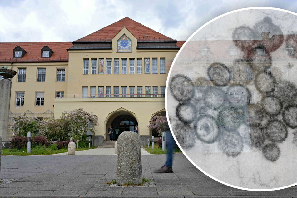 Hantavirus-Kontaktperson in München: So geht es nun weiter