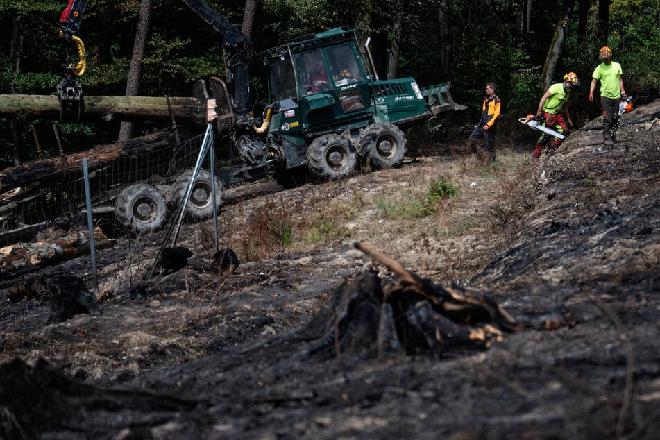Wegen des Waldbrands im Taunus ermittelt die Polizei in alle Richtungen, Brandstiftung wird nicht ausgeschlossen.