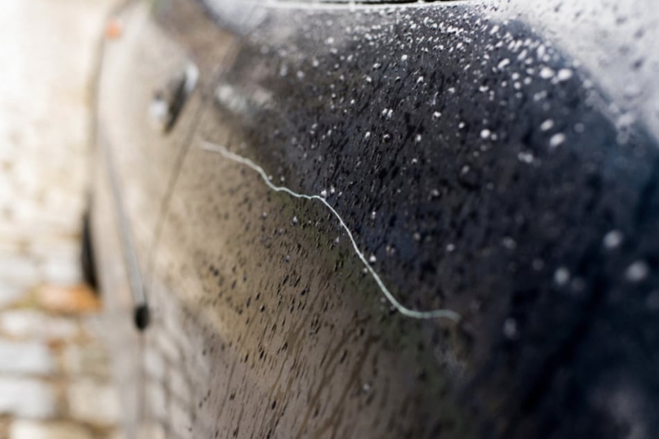 Durch die Äste wurden zahlreiche parkende Fahrzeuge beschädigt. (Symbolfoto)