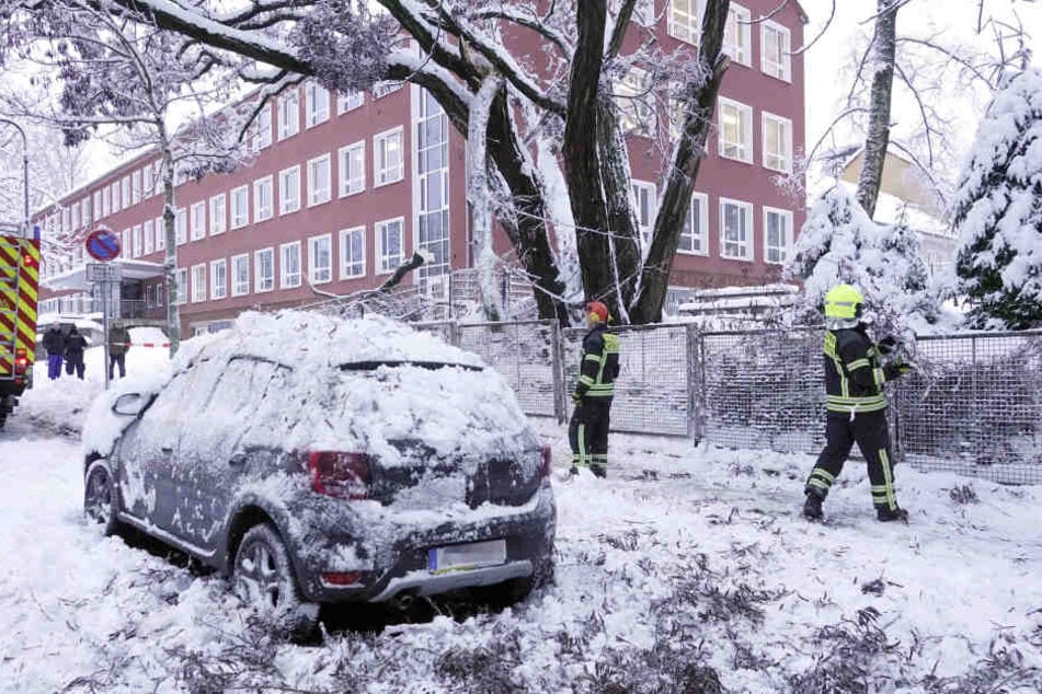 Auf der Heinrich- Beck- Strasse stürzte ein etwa 10 Meter langer Ast herunter und begrub ein Auto unter sich.