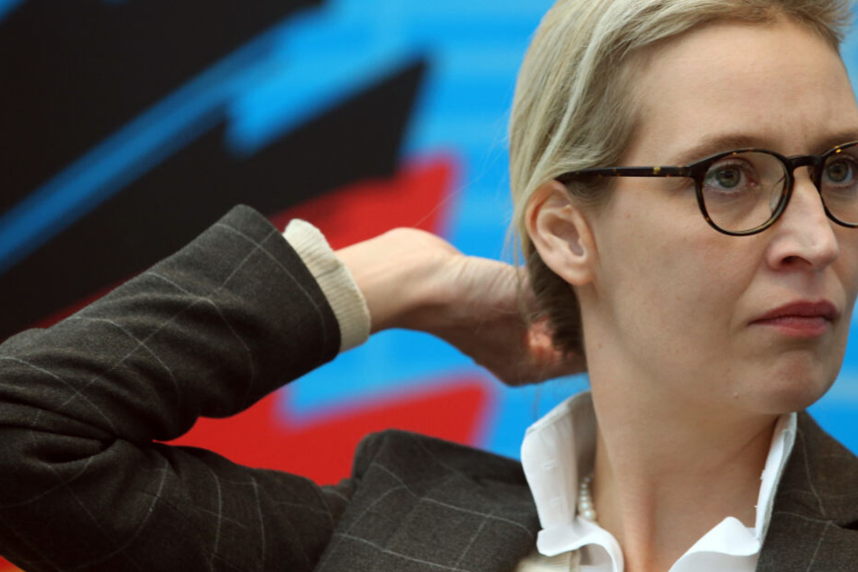 Gegen die AfD-Fraktionsvorsitzende Alice Weidel und andere Mitglieder ihres Kreisverbandes am Bodensee wird wegen illegaler Wahlkampfspenden ermittelt.