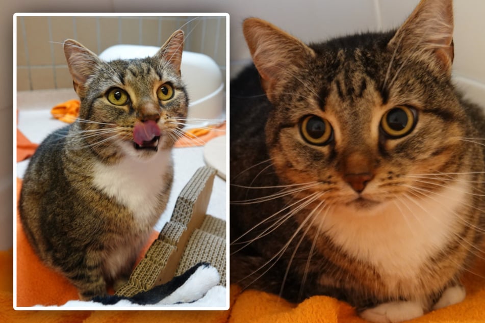 Schleckermäulchen Fiona ...