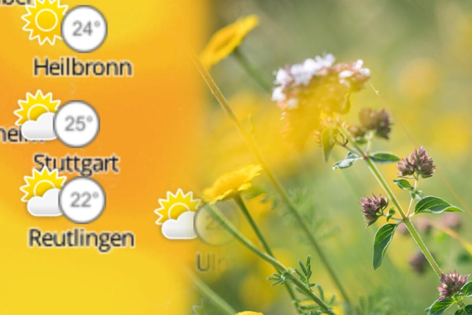 Das Wetter in Baden-Württemberg wird zunächst wechselhaft.