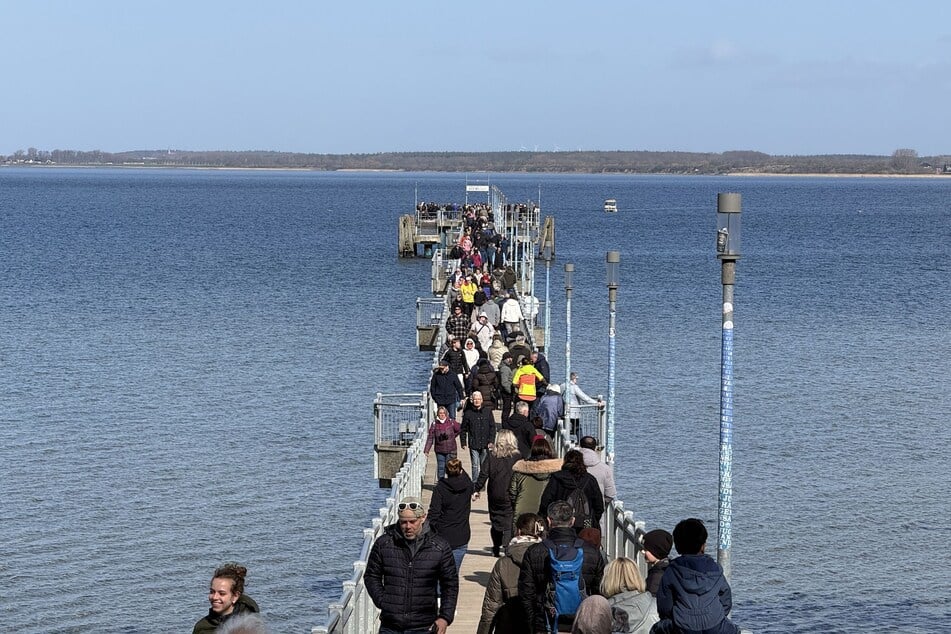Hunderte Schaulustige versuchen am Sonntag ein Blick auf den Wal zu werfen, der nicht weit entfernt von der Seebrücke auf einer Sandbank liegt.