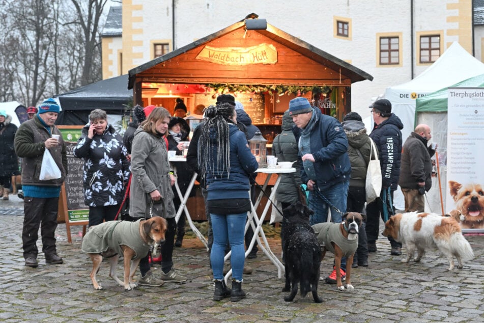 Ein Weihnachtsmarkt für Hunde und ihre Besitzer.
