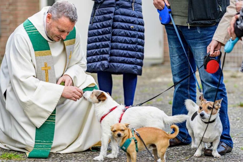 Pastor Alexander Görke, katholischer Pastor der Kirche in Jenfeld, segnet Hunde vor dem Kircheneingang.