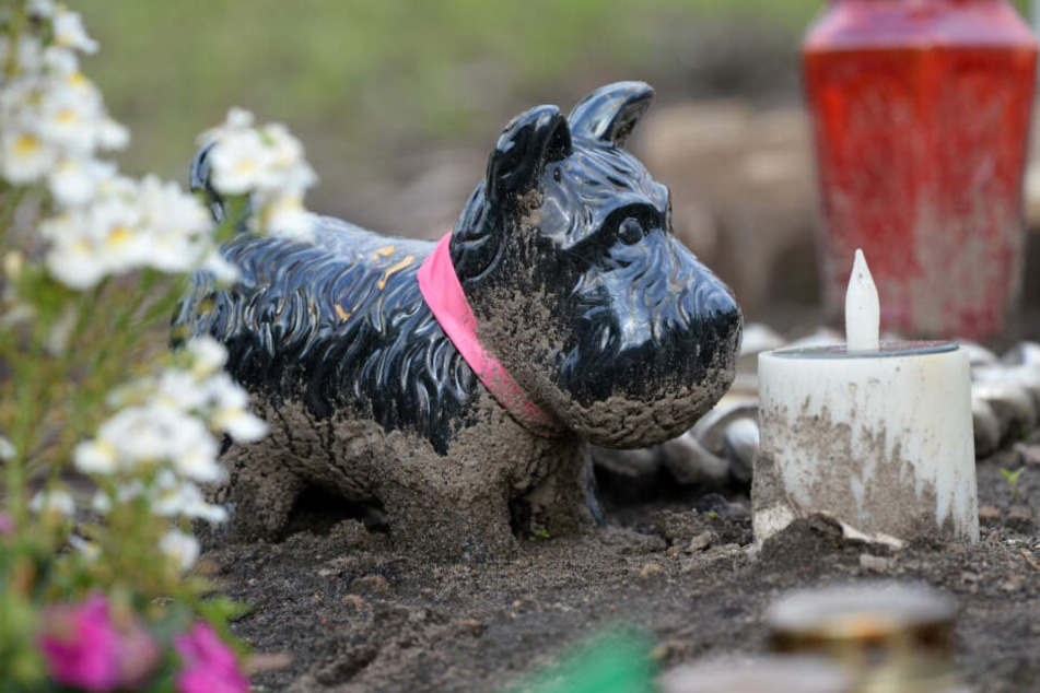 Hund und Herrchen können nun gemeinsam ihre letzte Ruhe auf dem Ohlsdorfer Friedhof finden. (Symbolbild)