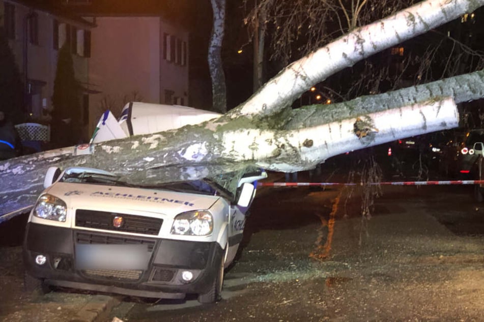 In Nürnberg wird ein Auto durch einen umgestürzten Baum total zerstört.