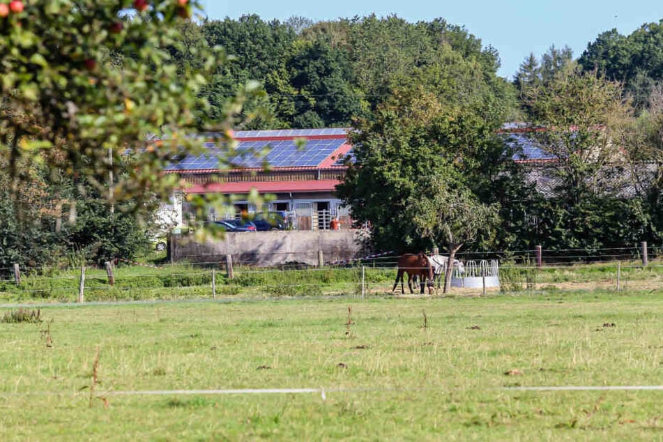 Jetzt steht fest: Die 22-Jährige starb an den Folgen eines Kopfschusses.