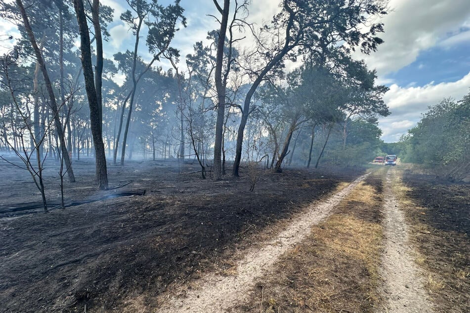 In beiden Fällen geht die Feuerwehr von Brandstiftung aus.