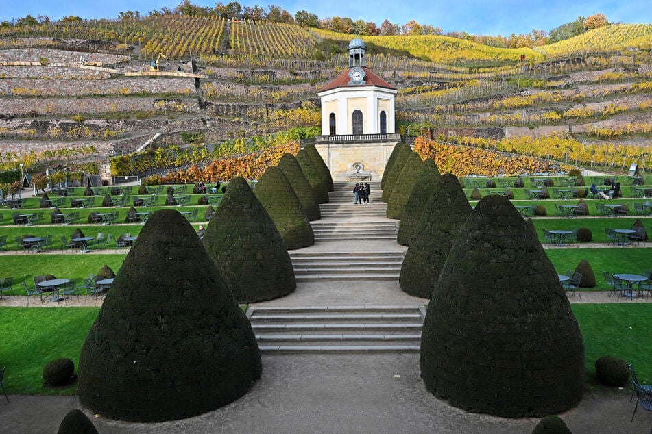 Der wunderbare Blick von Schloss Wackerbarth auf das Belvedere zu Füßen der Weinberge.