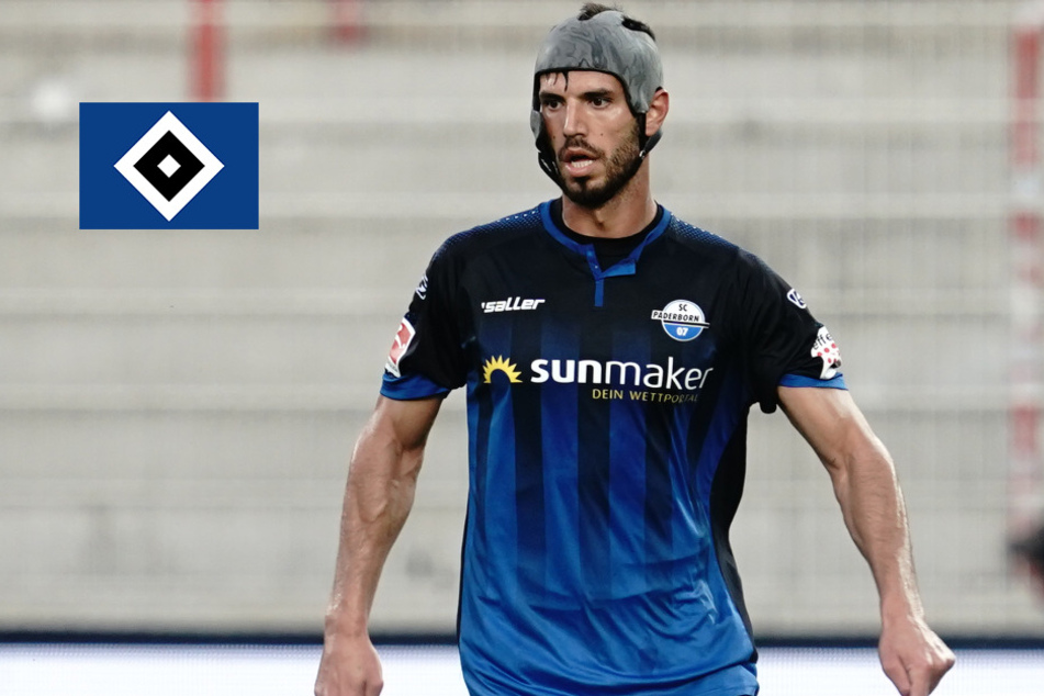 Hsv Neuzugang Hsv Neuzugang