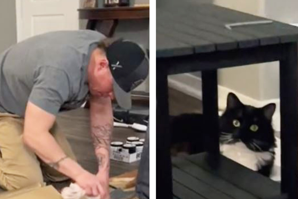 Mann macht Handwerks-Arbeiten: Was seine Katze dann tut, lässt Lachtränen fließen