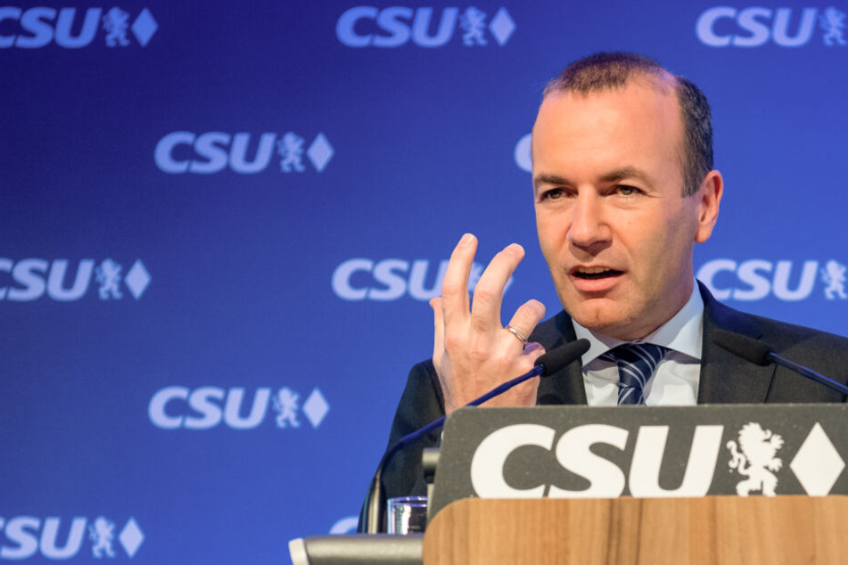 So viele Stimmen holt Europa-Spitzenkandidat Manfred Weber in seiner Heimat