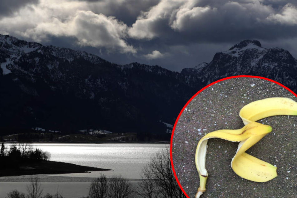 Müll wie Bananenschalen gehören nicht in die Umwelt. (Bildmontage)