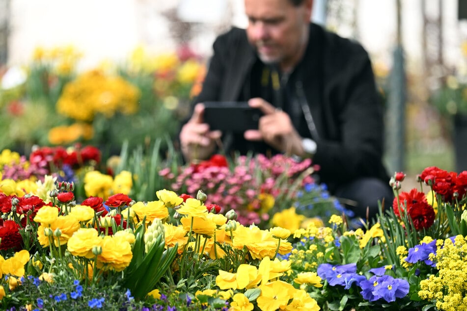 Die Landesgartenschau in Neuss lockt mit Blumen, Natur und zahlreichen Veranstaltungen Besucher an. Zur Halbzeit fällt die Bilanz beim Besucherandrang jedoch verhalten aus.