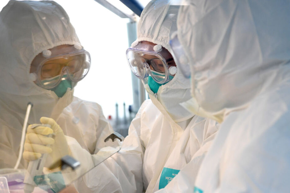 In einem Labor wird ein Coronavirus-Test durchgeführt.