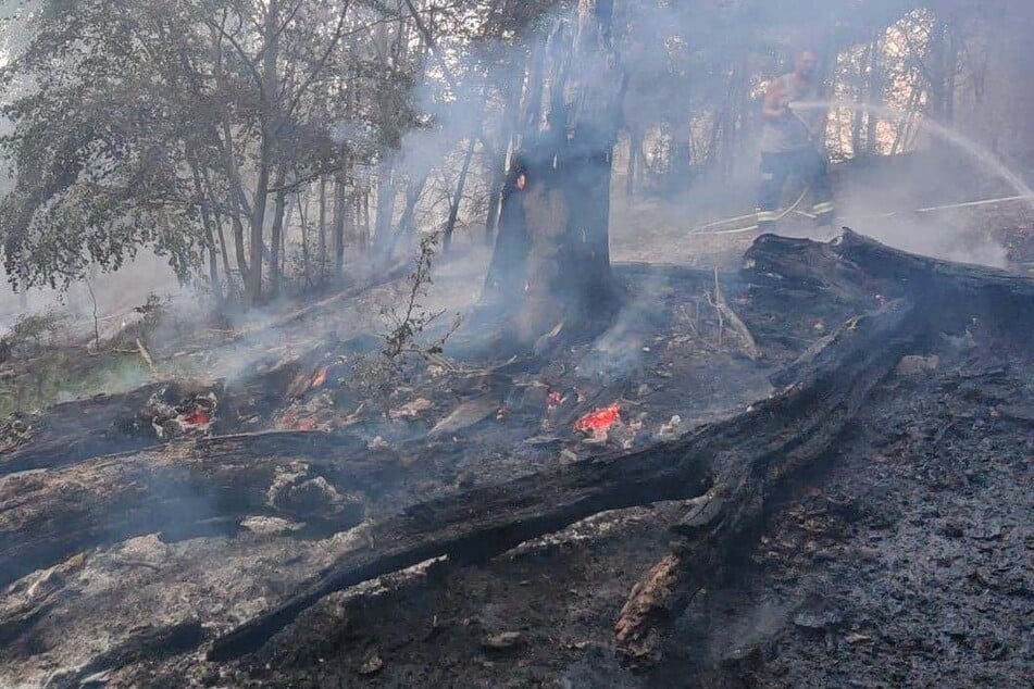 Zwischenzeitlich war die Fläche des Feuers 4,3 Hektar groß.