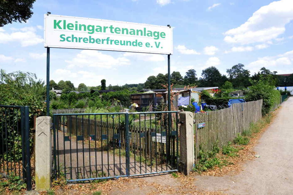 Tatort Kleingartenanlage Schreberfreunde: Hier stellten Mitglieder einen Einbrecher.