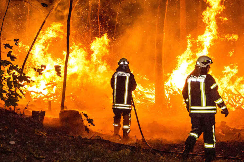 Noch am Freitag galt in Sachsen die Waldbrand-Warnstufe fünf. (Symbolbild)