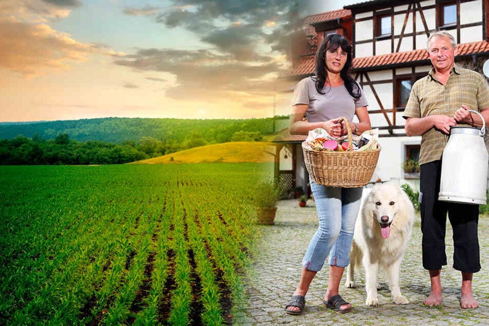 Als „Chef“ des Hofes gibt Schäferhund
Gonzo (8) Obacht, was Frauchen
und Herrchen so machen.