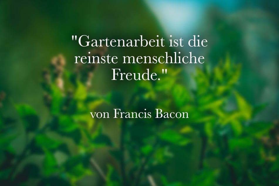 Über das Gärtnern sagte Francis Bacon: "Gartenarbeit ist die reinste menschliche Freude."
