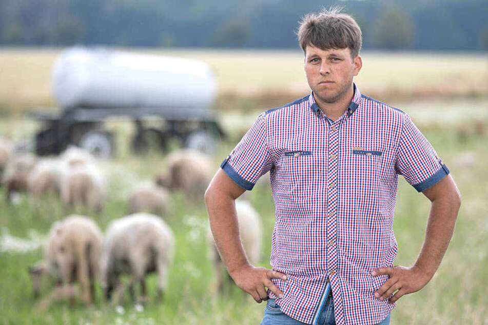 Schäfer Martin Just (35) auf seiner Weide bei Cunnewitz. Er ist den Kampf gegen die Wölfe leid.