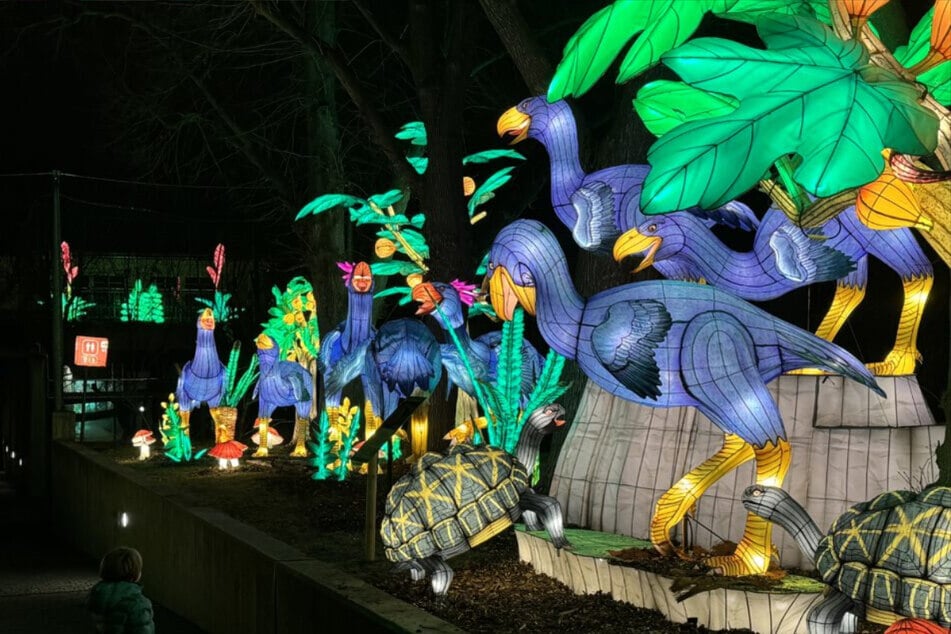 Die über 300 handgemachten Lichtfiguren führen entlang eines über 2 Kilometer langen Rundweg im Zoo Halle.